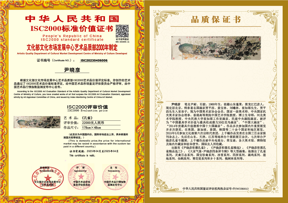 尹晓彦《孔雀》